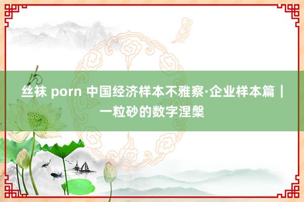 丝袜 porn 中国经济样本不雅察·企业样本篇｜一粒砂的数字涅槃