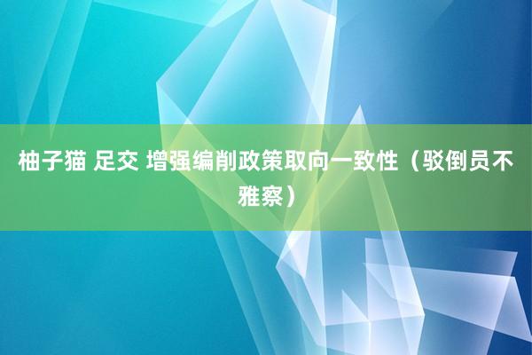 柚子猫 足交 增强编削政策取向一致性（驳倒员不雅察）