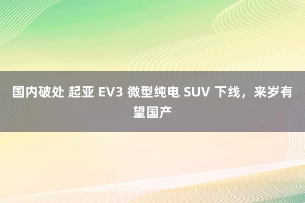 国内破处 起亚 EV3 微型纯电 SUV 下线，来岁有望国产