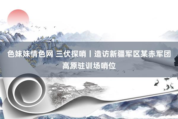 色妹妹情色网 三伏探哨丨造访新疆军区某赤军团高原驻训场哨位