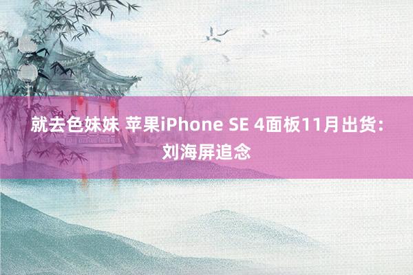 就去色妹妹 苹果iPhone SE 4面板11月出货：刘海屏追念