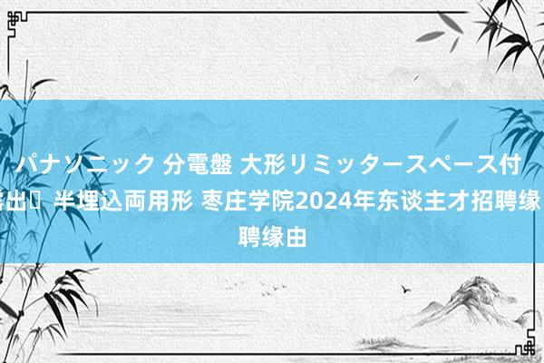 パナソニック 分電盤 大形リミッタースペース付 露出・半埋込両用形 枣庄学院2024年东谈主才招聘缘由