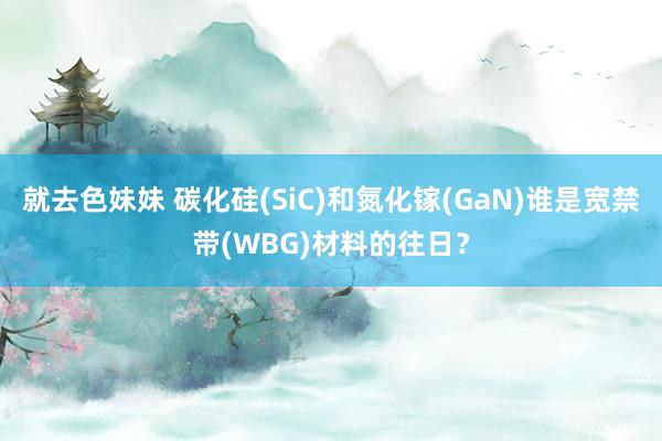 就去色妹妹 碳化硅(SiC)和氮化镓(GaN)谁是宽禁带(WBG)材料的往日？