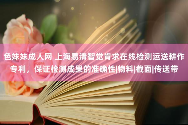 色妹妹成人网 上海易清智觉肯求在线检测运送耕作专利，保证检测成果的准确性|物料|截面|传送带